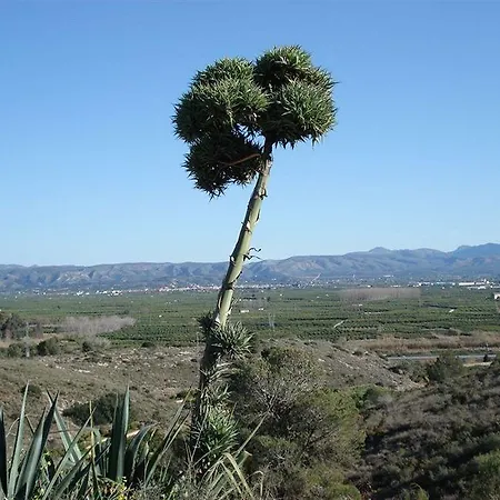 El Raco De La Pintora 